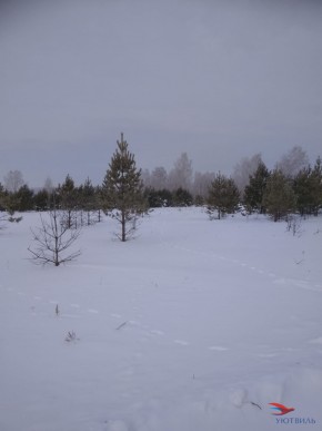 Баженово ул Южная д 7 в Славянске на Кубани - slavyansk-na-kubani.yutvil.ru - фото 5
