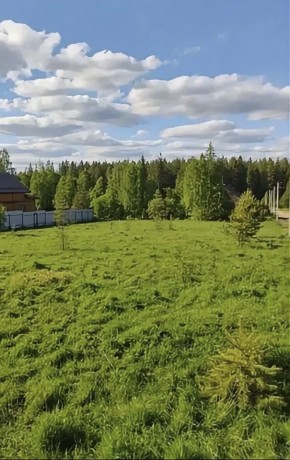 ДП Родной в Славянске на Кубани - slavyansk-na-kubani.yutvil.ru - фото 3