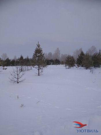 Земельный участок поселок Баженово в Славянске на Кубани - slavyansk-na-kubani.yutvil.ru - фото 5