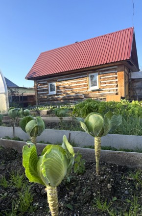 СНТ Дорожник в Славянске на Кубани - slavyansk-na-kubani.yutvil.ru - фото 19