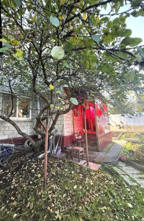 СНТ Дорожник в Славянске на Кубани - slavyansk-na-kubani.yutvil.ru - фото 4