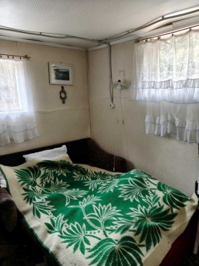 СНТ Родники в Славянске на Кубани - slavyansk-na-kubani.yutvil.ru - фото 10