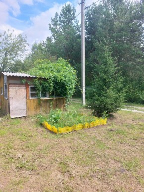 СНТ Родники в Славянске на Кубани - slavyansk-na-kubani.yutvil.ru - фото 2
