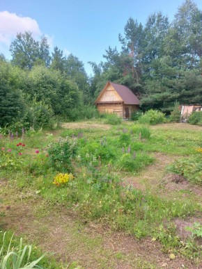 СНТ Родники в Славянске на Кубани - slavyansk-na-kubani.yutvil.ru - фото 3