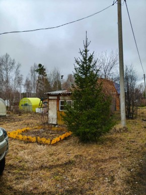 СНТ Родники в Славянске на Кубани - slavyansk-na-kubani.yutvil.ru - фото 5