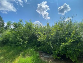 СПК Юбилейный, уч. 9 в Славянске на Кубани - slavyansk-na-kubani.yutvil.ru - фото 15