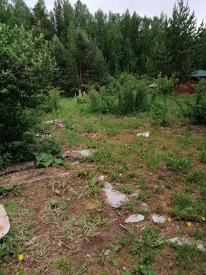 СТН Семья №112, Верхняя пышма на землях бывшего подсобного хозяйтва верхнепышминского опытного завода в Славянске на Кубани - slavyansk-na-kubani.yutvil.ru - фото 17 СТН Семья №112, Верхняя пышма на землях бывшего подсобного хозяйтва верхнепышминского опытного завода в Славянске на Кубани - slavyansk-na-kubani.yutvil.ru - фото 17