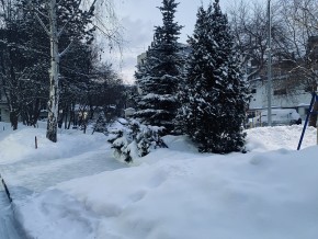 ул. 8 Марта,7 в Славянске на Кубани - slavyansk-na-kubani.yutvil.ru - фото 25 ул. 8 Марта,7 в Славянске на Кубани - slavyansk-na-kubani.yutvil.ru - фото 25