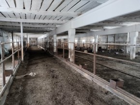 ул. Ленина,15а в Славянске на Кубани - slavyansk-na-kubani.yutvil.ru - фото 16 ул. Ленина,15а в Славянске на Кубани - slavyansk-na-kubani.yutvil.ru - фото 16