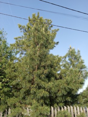 ул. Полынная,29 в Славянске на Кубани - slavyansk-na-kubani.yutvil.ru - фото 18