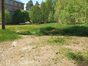 ул. Сосновая, 8 в Славянске на Кубани - slavyansk-na-kubani.yutvil.ru - фото 33 ул. Сосновая, 8 в Славянске на Кубани - slavyansk-na-kubani.yutvil.ru - фото 33